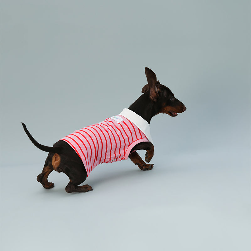 7962bdeccf17bc86494030fb35297551